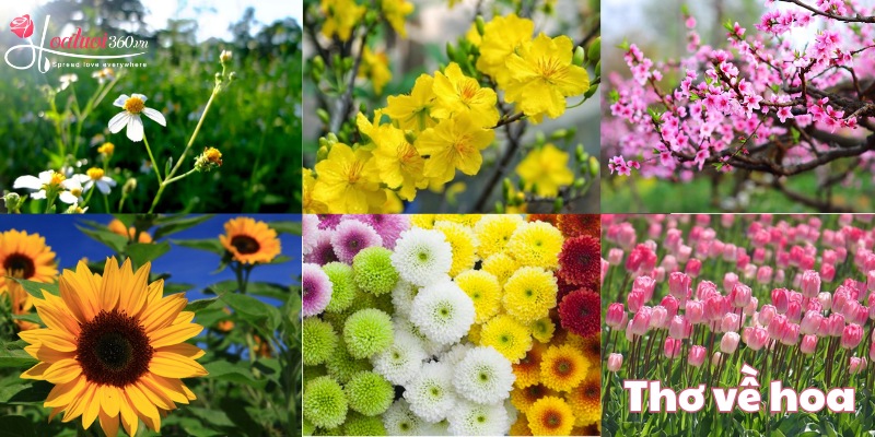 Chủ đề thường gặp trong những bài thơ về hoa