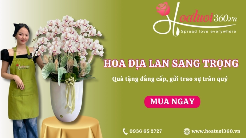 Mua địa lan hoa trắng đẹp giá rẻ tại Hoa tươi 360