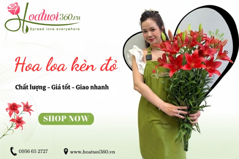 Địa chỉ mua hoa loa kèn màu đỏ, đẹp tại TPHCM