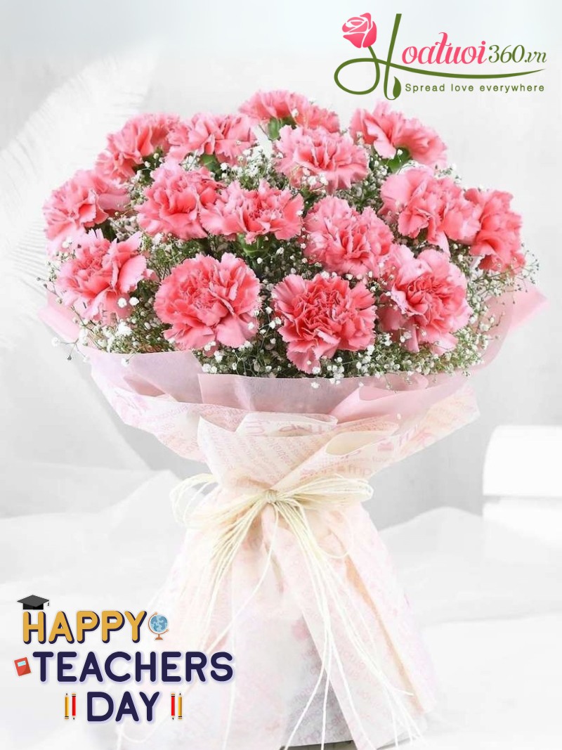Hoa cẩm chướng hoa tặng giáo viên chúc mừng 20/11