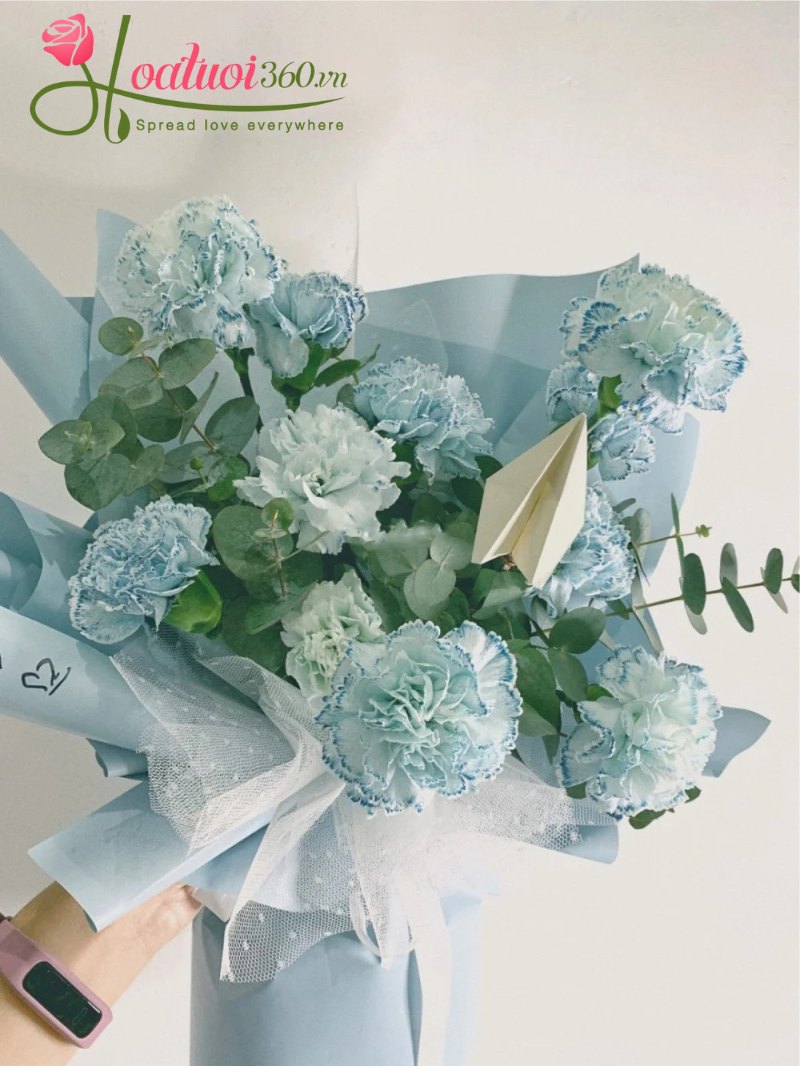 Những bông hoa cẩm chướng màu xanh nước biển mang vẻ đẹp ấn tượng