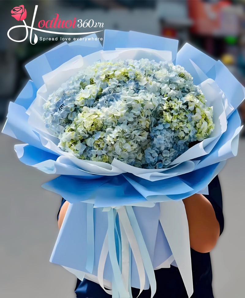 Bó hoa cẩm tú cầu màu xanh dương tự nhiên đẹp mắt