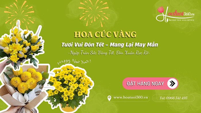 Giới thiệu về hoa cúc