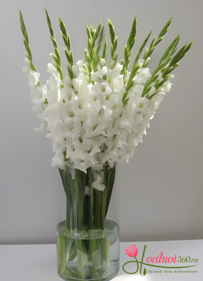 Hoa huệ là loài hoa tươi cắm bình lâu tàn