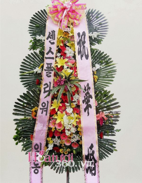 Kệ hoa khai Trương Hàn Quốc – Tiến bước vươn xa