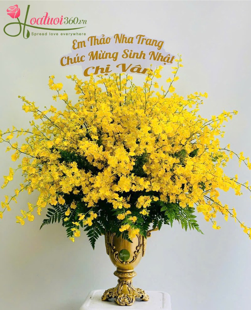 hoa lan cắm bình chưng được hơn 1 tuần 