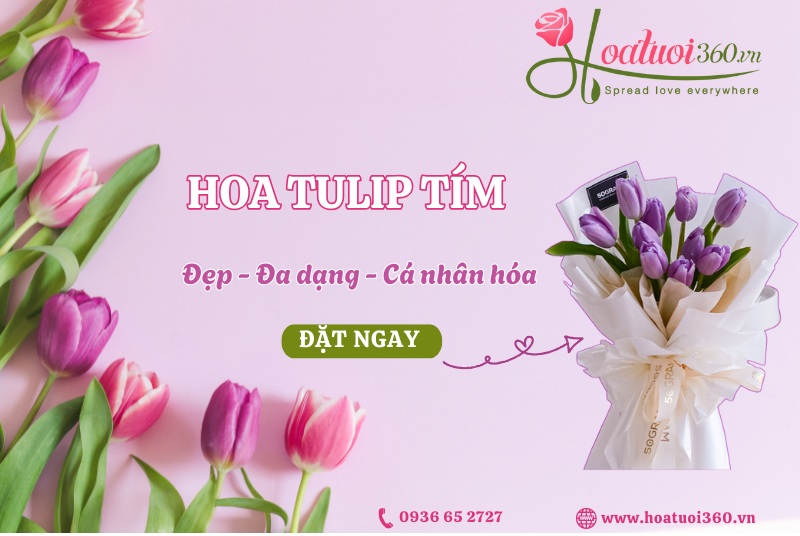 Địa chỉ mua hoa tulip tím đẹp, giá rẻ