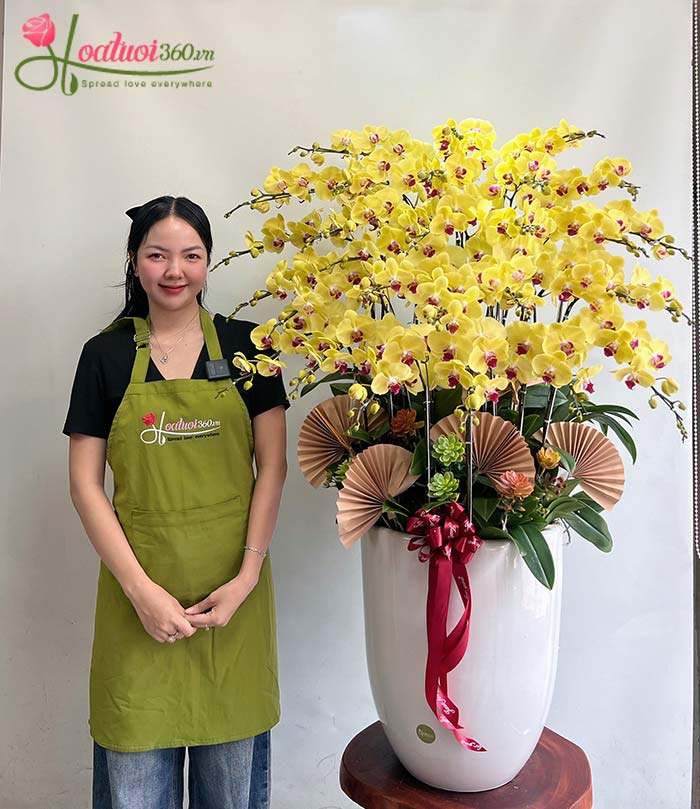 Ảnh chậu lan vàng để bàn tại shop bán hoa chúc mừng khai trương