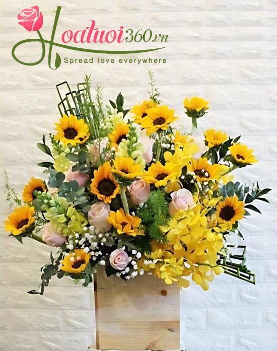 Hộp hoa 20-11 Sunny Day