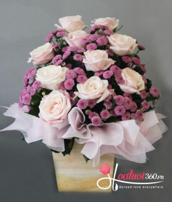 Hộp 20/11 - Tình thầy trò