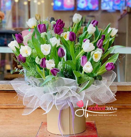 Hộp hoa Tulip nhập khẩu tượng trưng cho sự quý phái