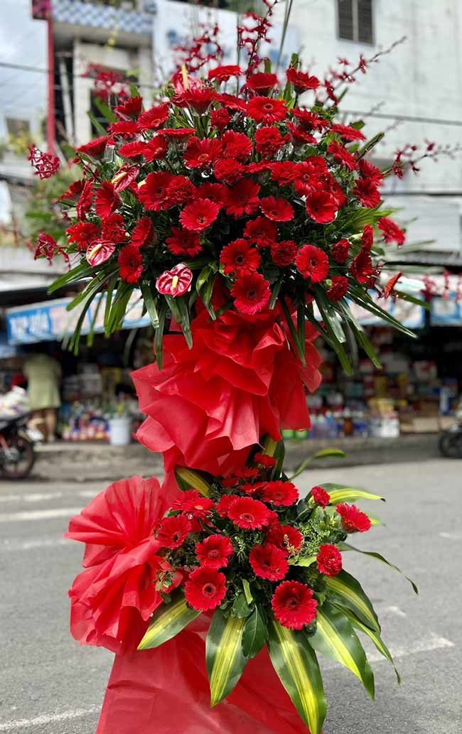 Ý nghĩa hoa đồng tiền ngày khai trương