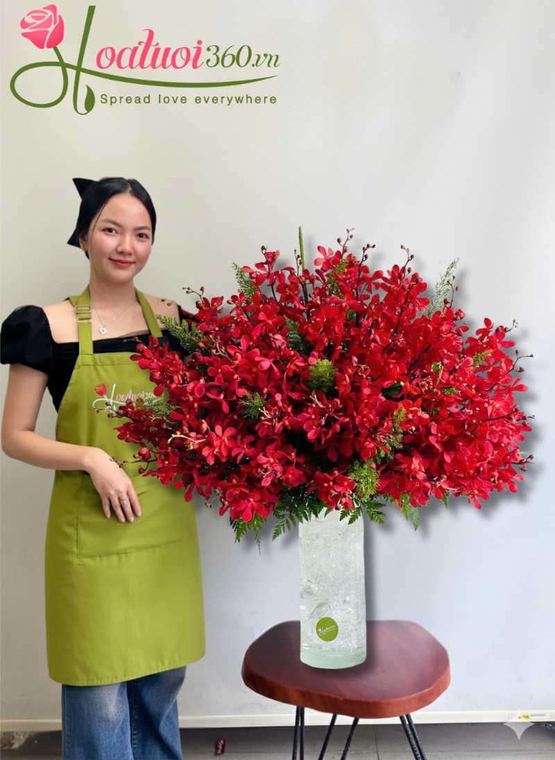 Bình lan mokara giá rẻ