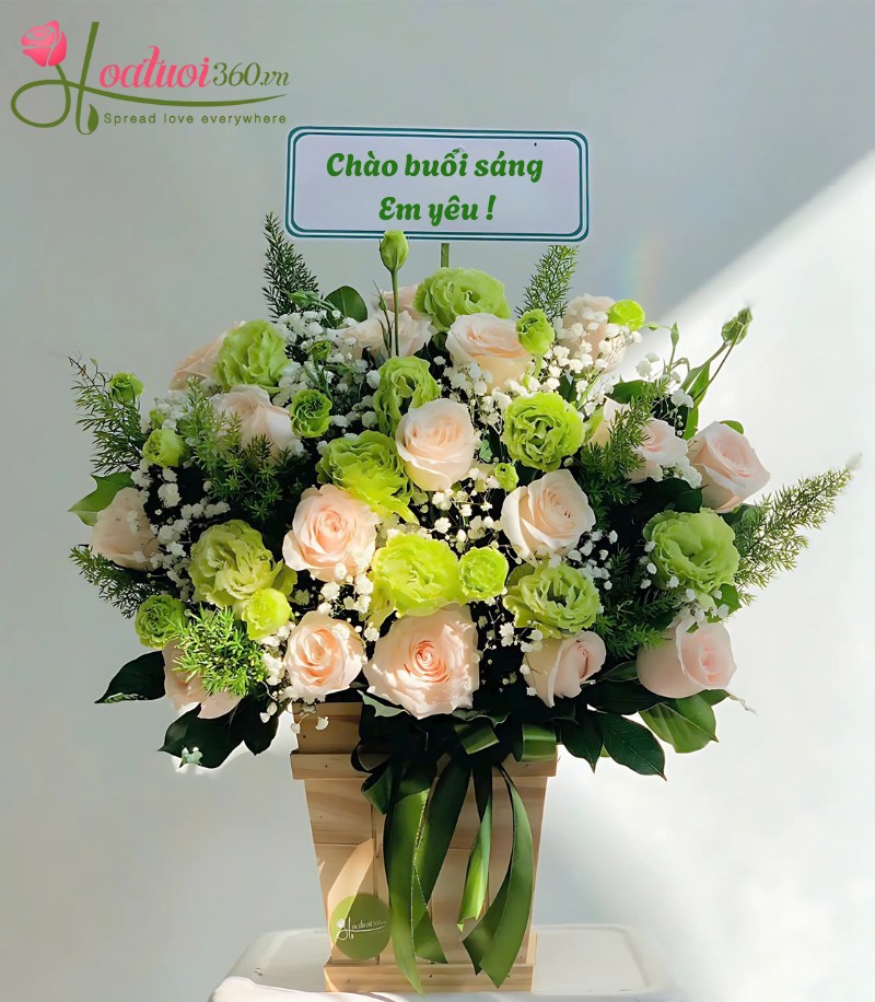 Cẩm chướng - Hoa đẹp chúc mừng ngày mới