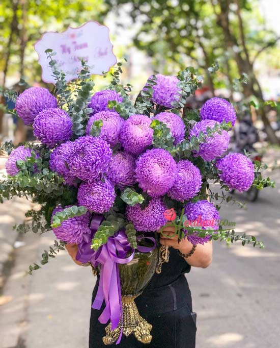 lãng hoa cúc mẫu đơn tím giá bao nhiêu