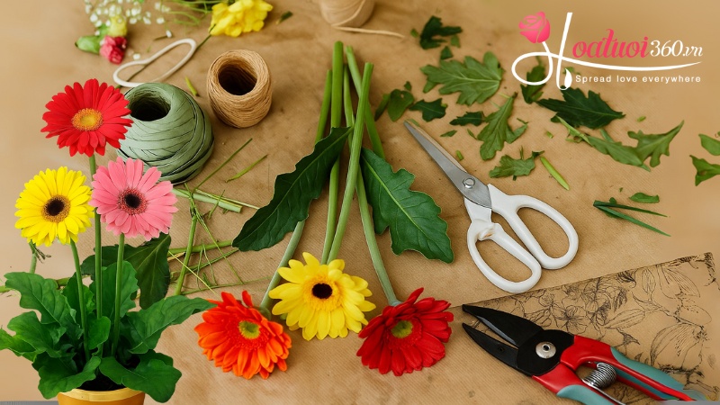 Tỉa lá cắm hoa đồng tiền