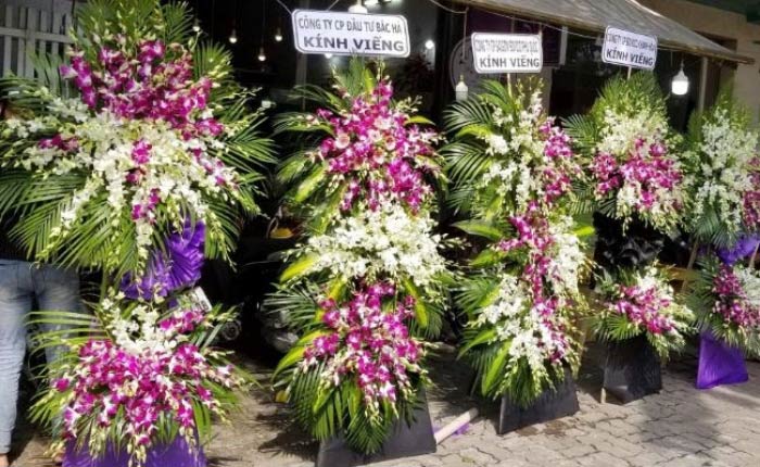 Hoa màu tím biểu tượng chia buồn đám tang