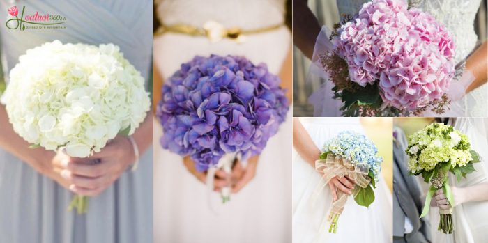 Hoa cưới cẩm tú cầu mang ý nghĩa thể hiện tình yêu chân thành ở cả 2 phía