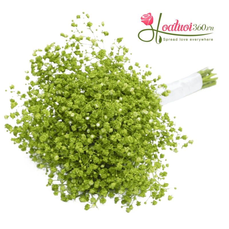 Bó hoa baby cưới xanh lá