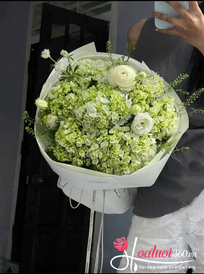 Bó cẩm tú cầu dáng tròn xanh lục