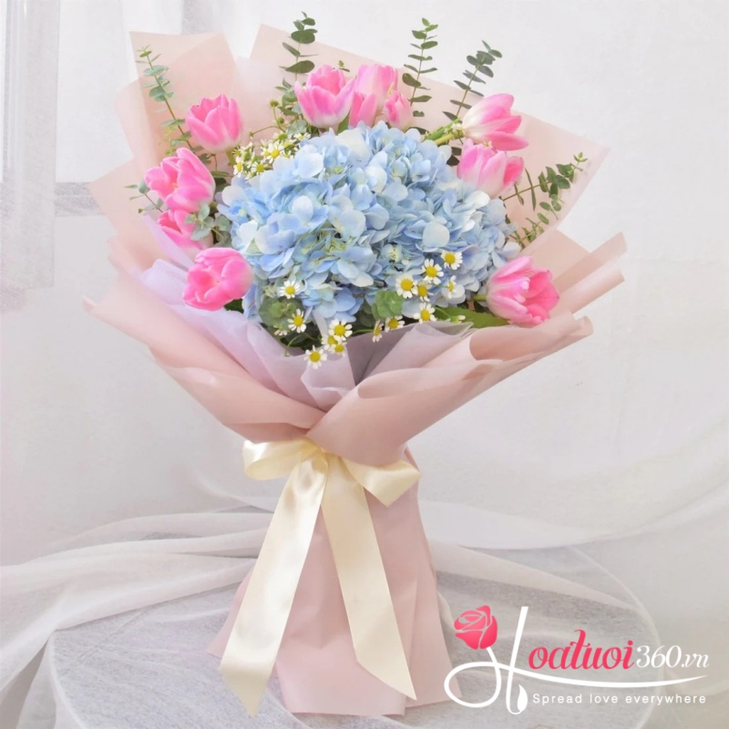 Bó hoa tulip hồng mix cẩm tú cầu