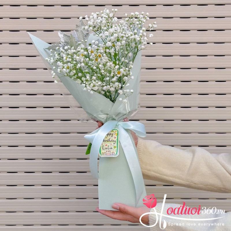 bó hoa baby giá rẻ