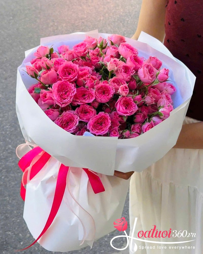 Bó hồng tỉ muội dáng tròn