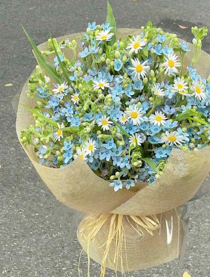 Bó hoa sao xanh phối cúc hoạ mi dễ thương