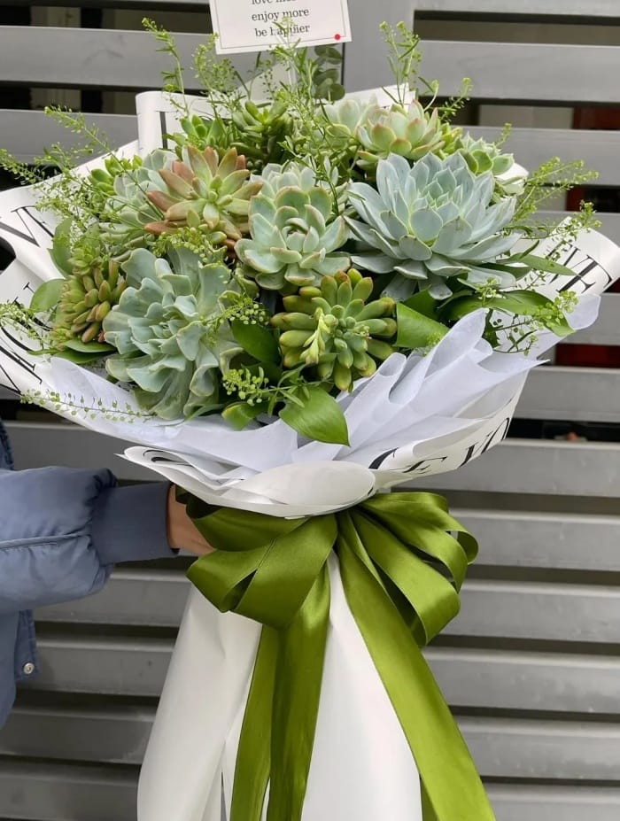 tặng bó hoa sen đá mừng khai trương