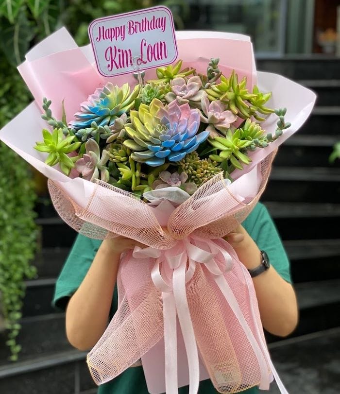 bó hoa sen đá tặng thầy cổ 20/11