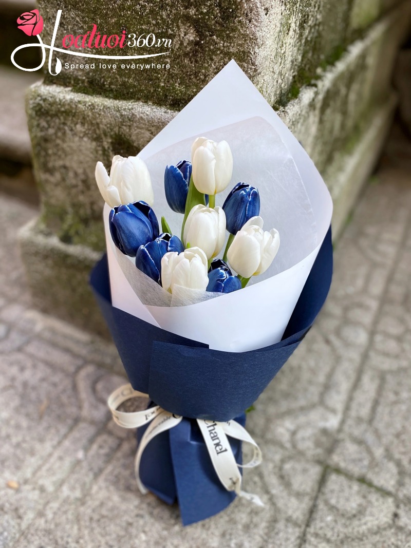 Bó hoa tulip trắng xanh