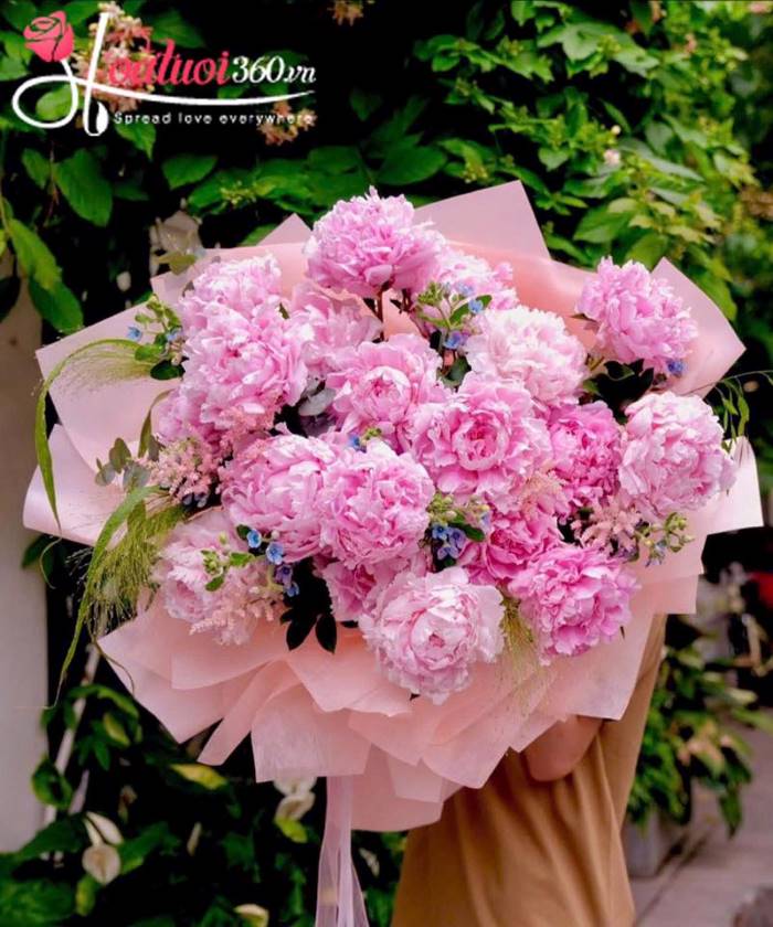 Mua hoa mẫu đơn nhập khẩu giá tốt tại TPHCM