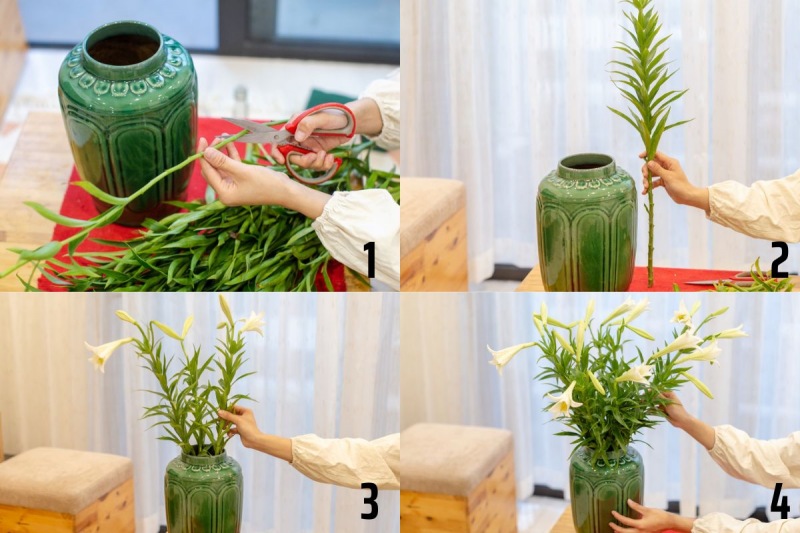 Cách cắm hoa loa kèn cho người mới bắt đầu
