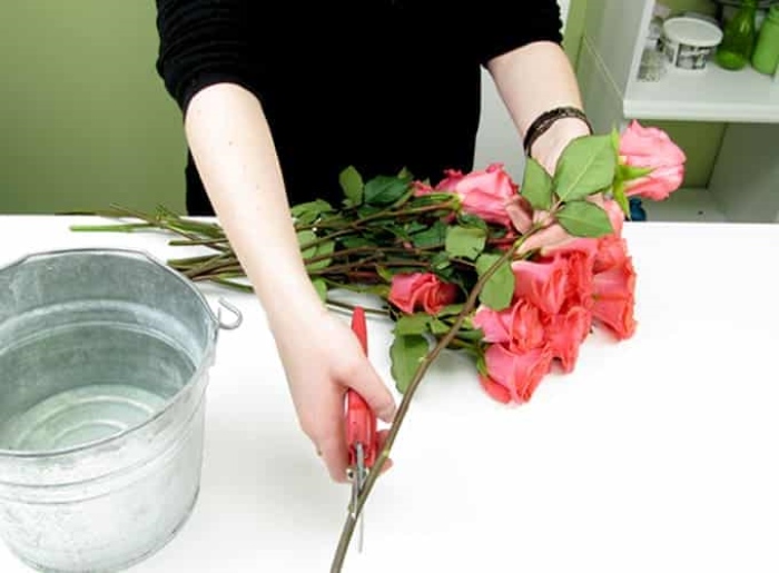 cắt vát gốc giúp việc chăm sóc hoa tươi dễ dàng hơn