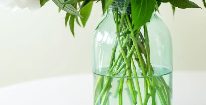 Loại bỏ lá thừa khi chăm sóc hoa tươi 