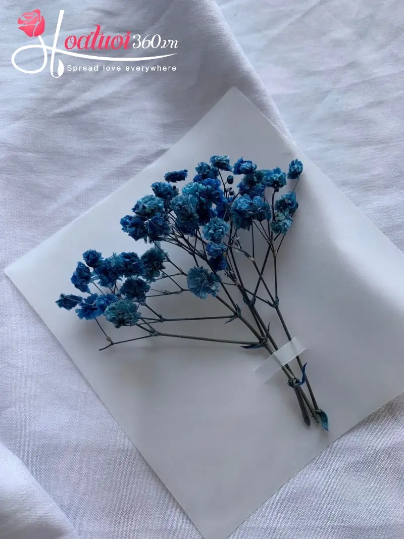 Cách làm hoa baby xanh khô đơn giản tại nhà