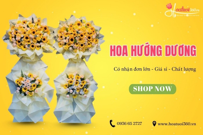 Hoa Tươi 360 cung cấp hoa hướng dương số lượng lớn giá rẻ