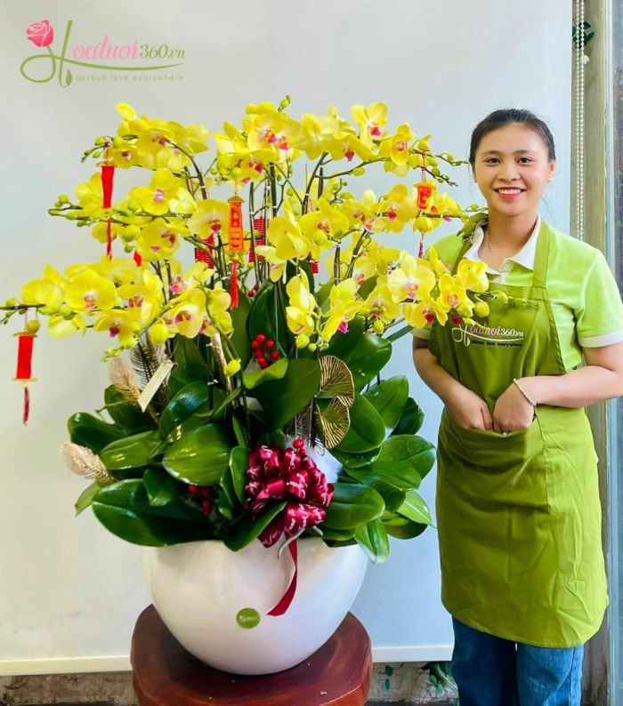 Chậu lan hồ điệp vàng quận 7 mừng khai trương hồng phát