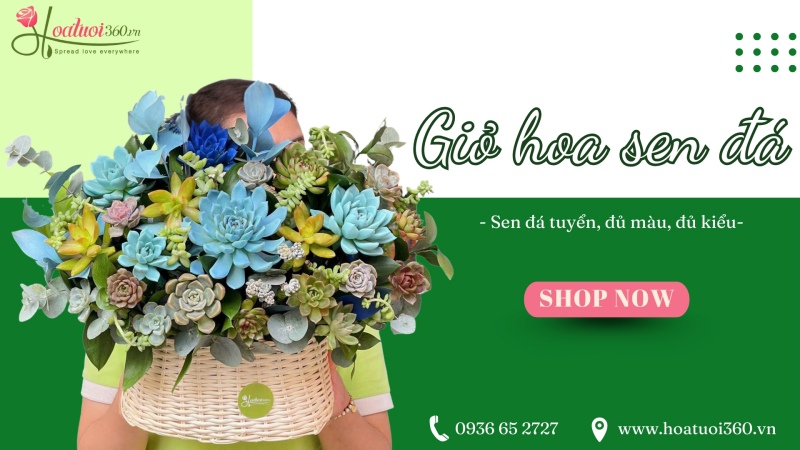 Địa chỉ cung cấp giỏ hoa sen đá đẹp, giá tốt