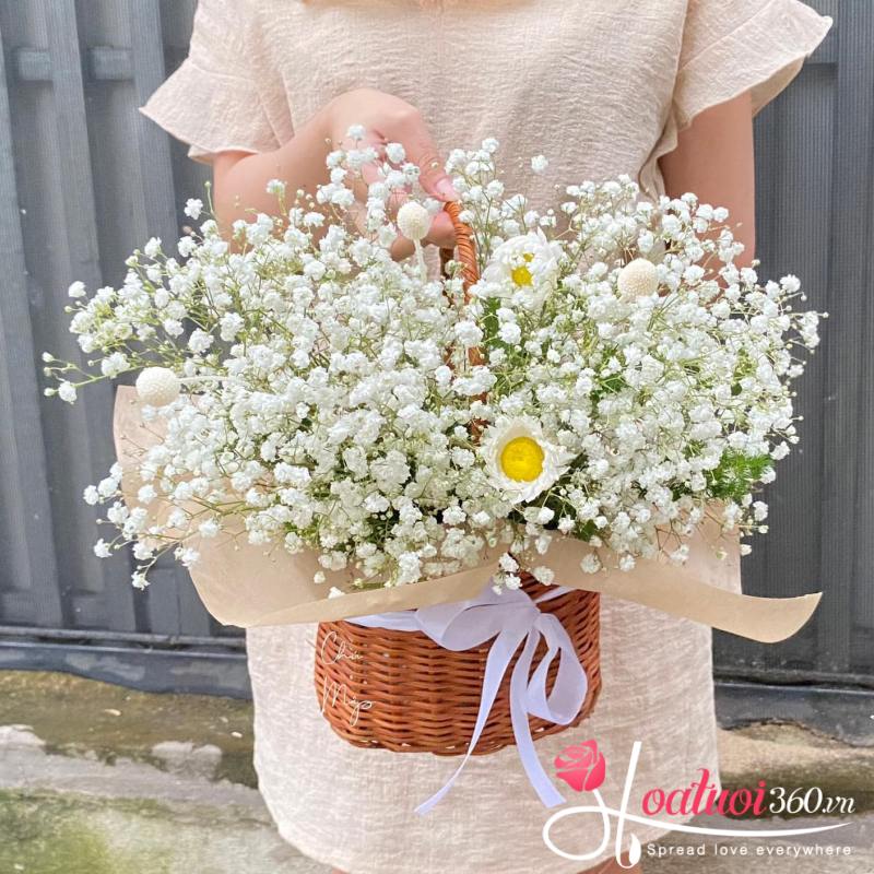 Giỏ hoa baby trắng