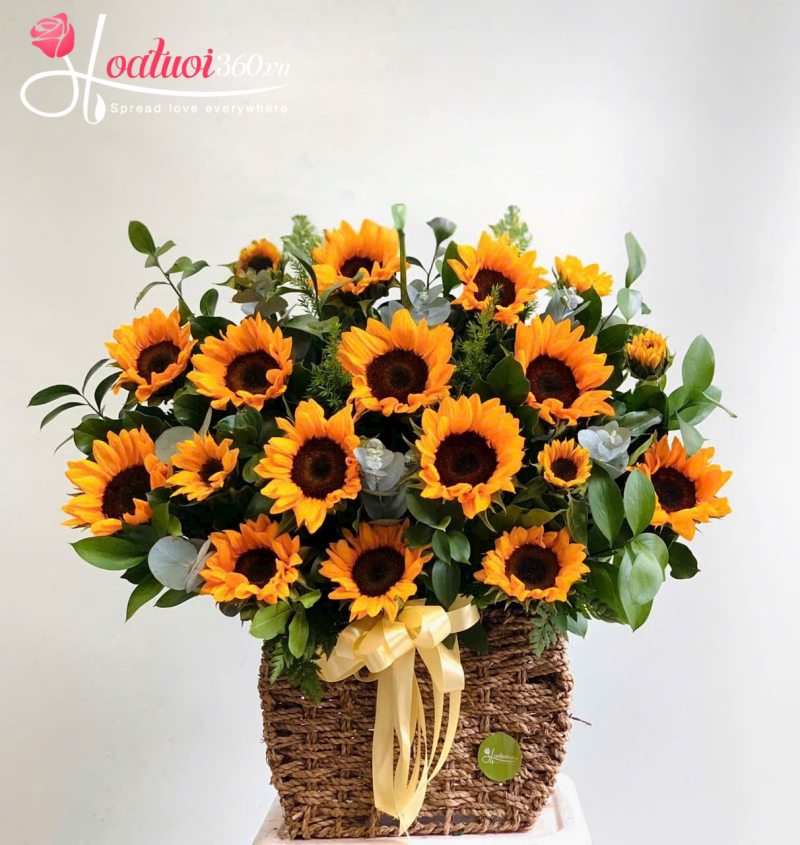 Giỏ hoa hướng dương tình yêu