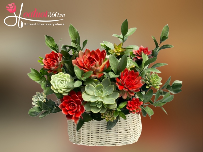 Giỏ hoa sen đá Khởi Sắc Vươn Xa