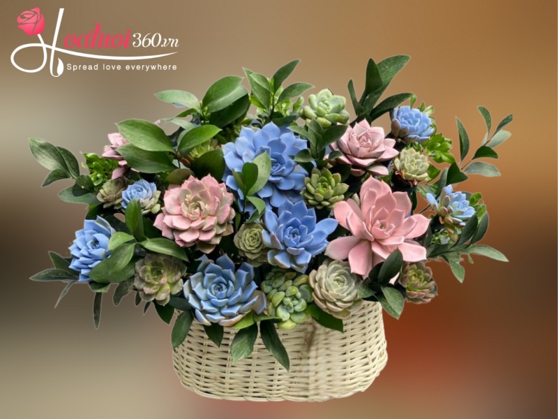 Giỏ hoa sen đá Nắng Ấm