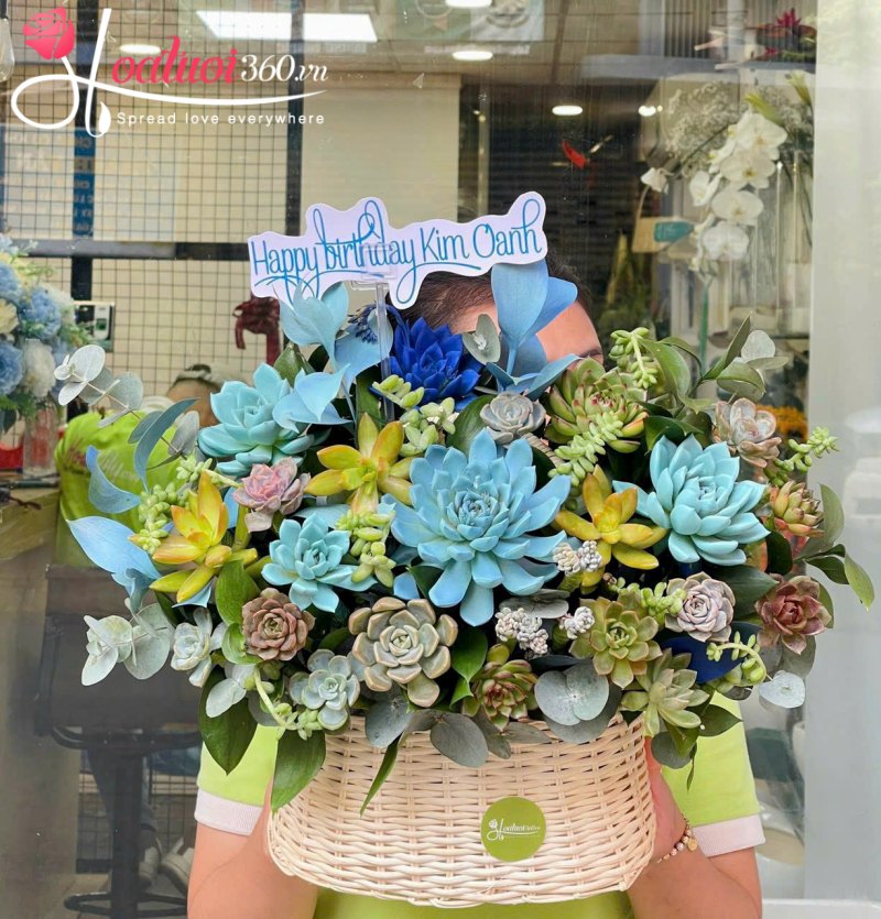 giỏ sen đá quà tặng