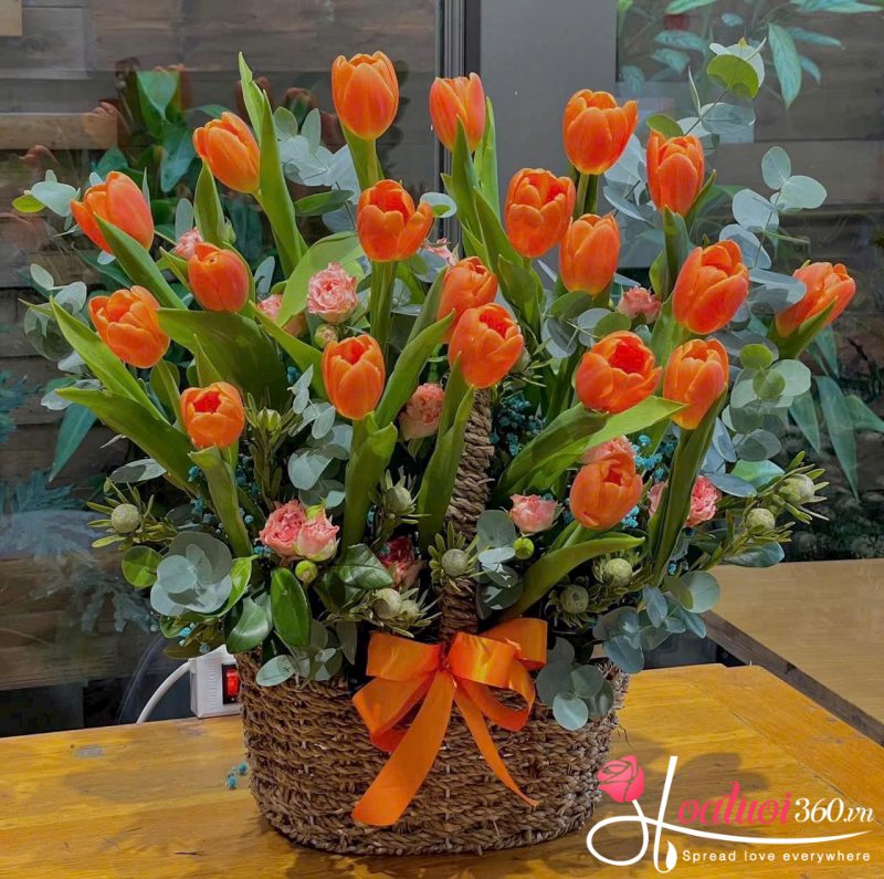Giỏ hoa tulip cam tình yêu