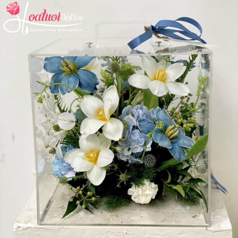 hộp hoa tulip xanh quà tặng