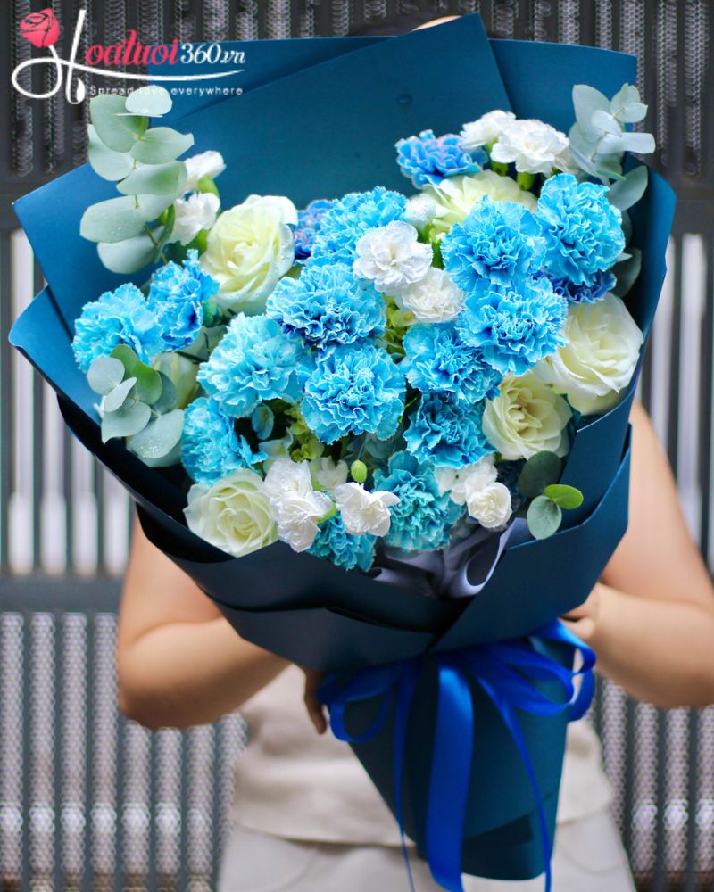 Bó hoa cẩm chướng xanh xin lỗi