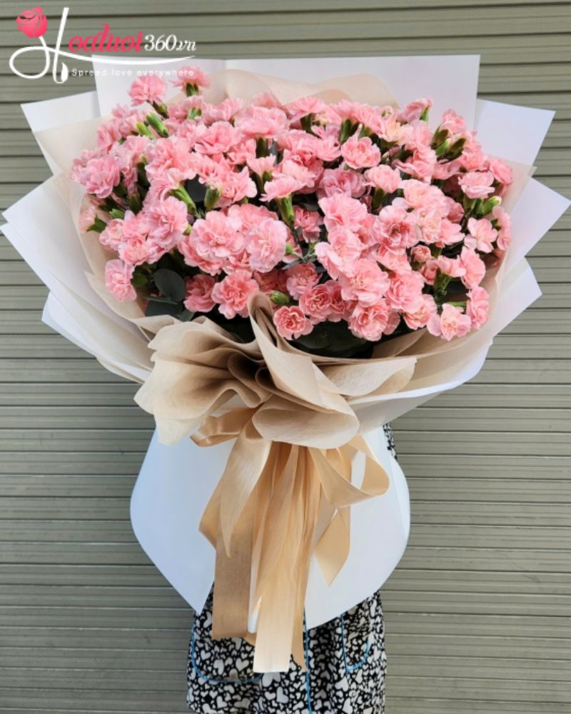 Hoa cẩm chướng xin lỗi đồng nghiệp