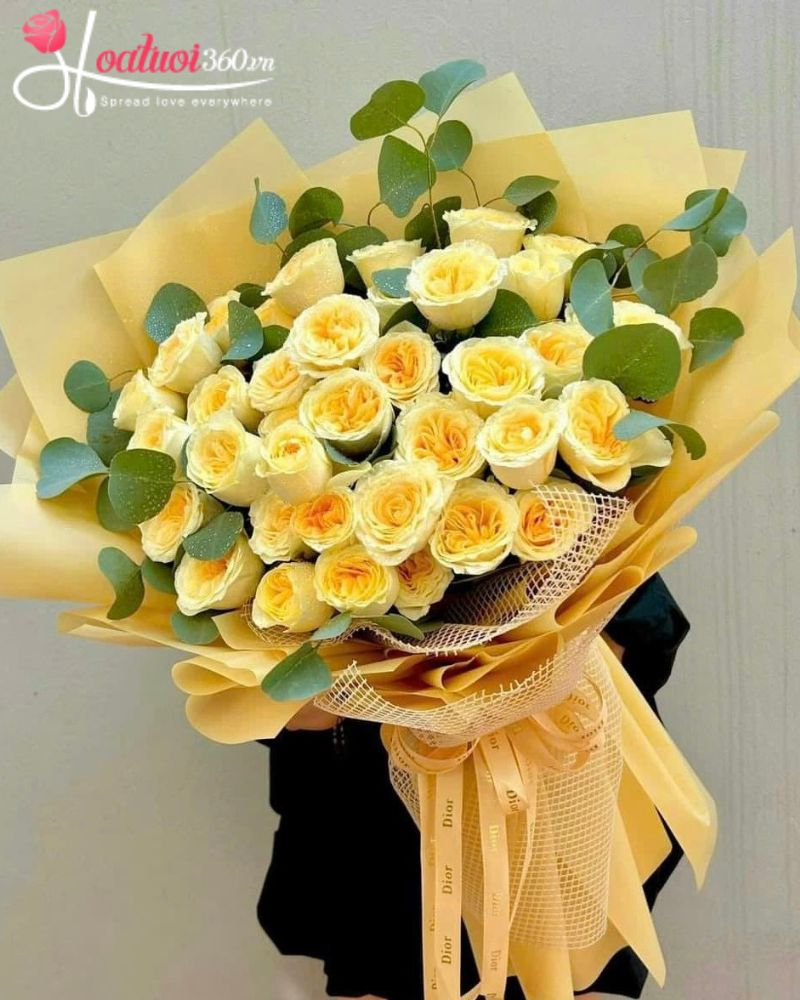 Bó hoa hồng vàng xin lỗi