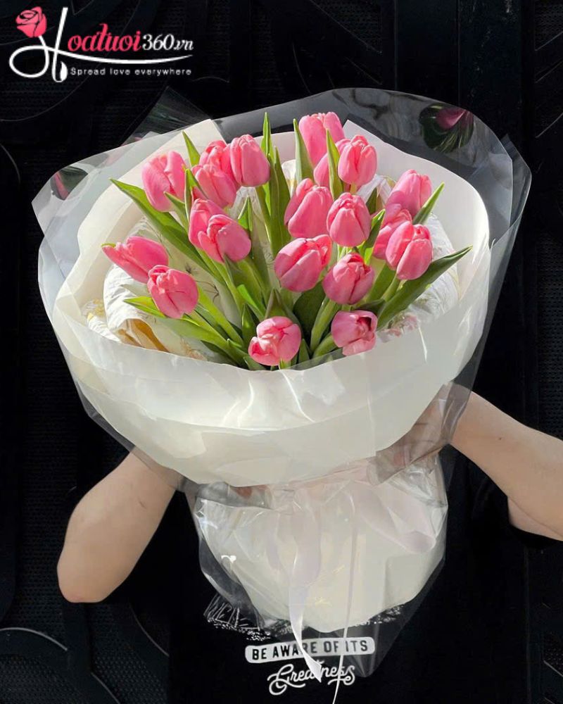 Hoa tulip trắng nói lên lời xin lỗi tặng hoa tulip để gửi lời xin lỗi